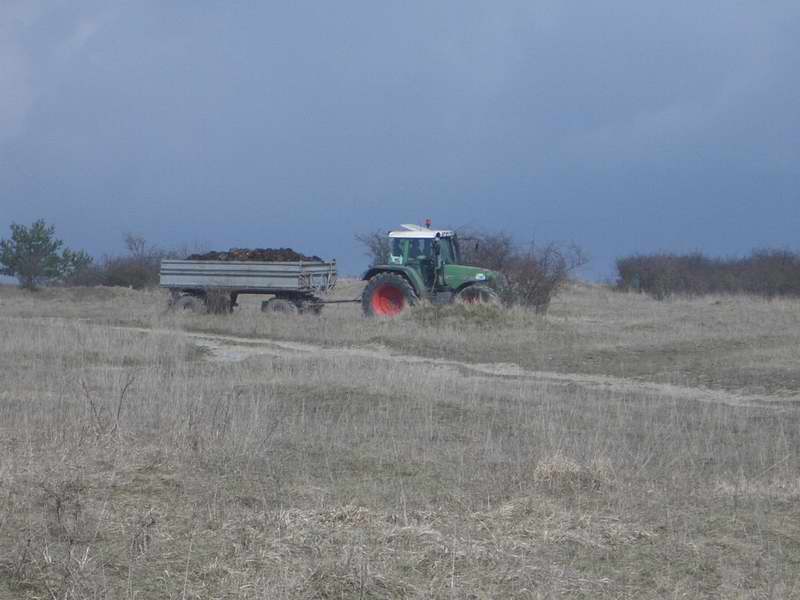 bilder/29_3_2005/fendt_716.jpg