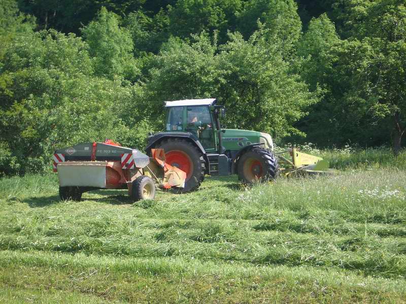 bilder/19_6_2005/zt_303_weidemann_7.jpg