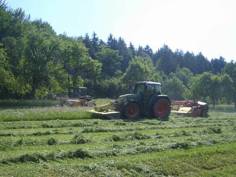 bilder/29_5_2005/fendt_818_zt_323.jpg