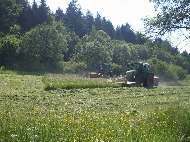 bilder/29_5_2005/fendt_818_zt_323_2.jpg