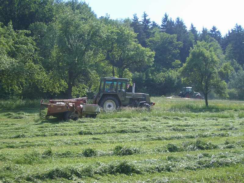 bilder/29_5_2005/fendt_930_zt_323.jpg