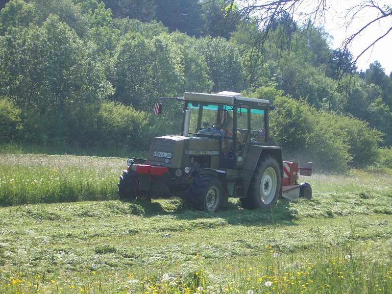 bilder/16_5_2005/fendt_716_25.jpg