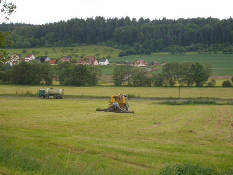 IMGP6000.jpg