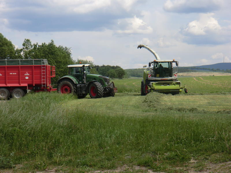 bilder/29_5_2012/CIMG8580.jpg