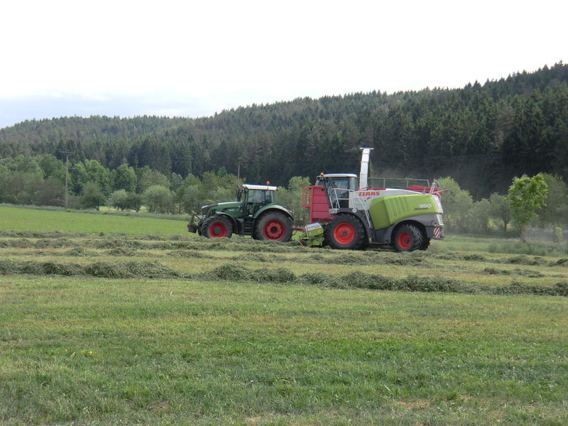 bilder/29_5_2012/CIMG8583.jpg