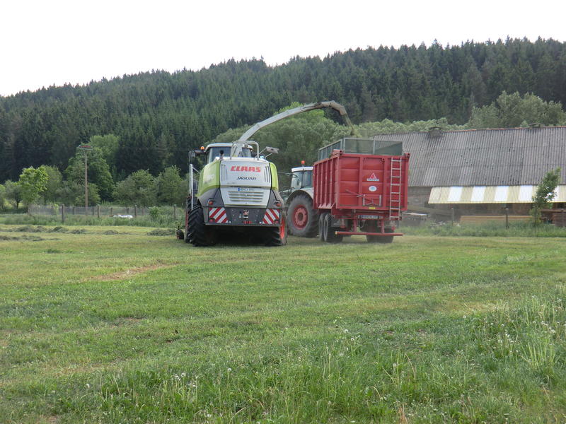 bilder/16_8_2002_2/mega_11.jpg