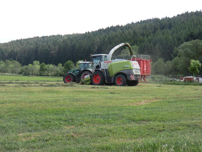 CIMG8587.jpg