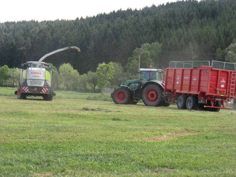 CIMG8588.jpg