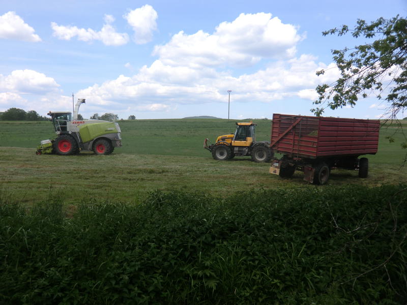 bilder/29_5_2012/CIMG8590.jpg