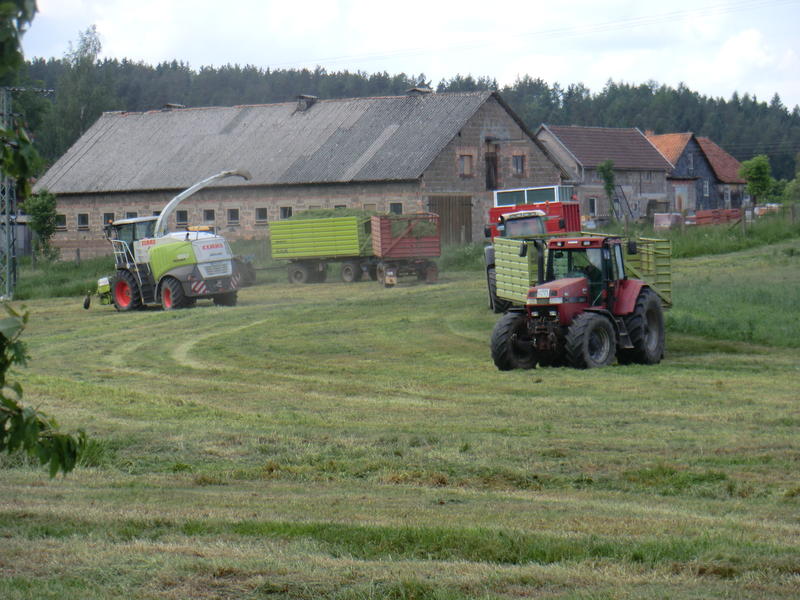 CIMG8593.jpg