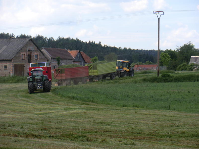 CIMG8596.jpg
