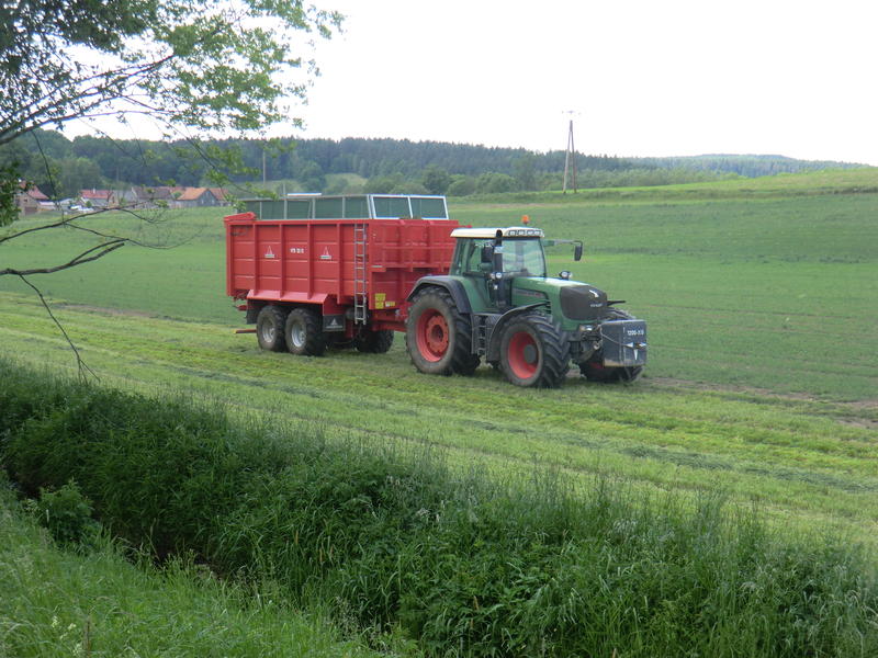 bilder/29_5_2012/CIMG8599.jpg
