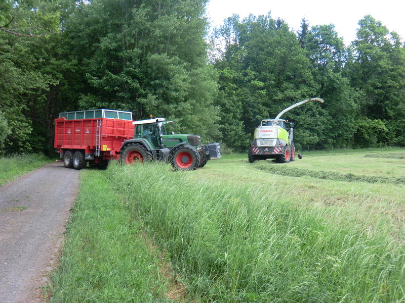 bilder/29_5_2012/CIMG8606.jpg