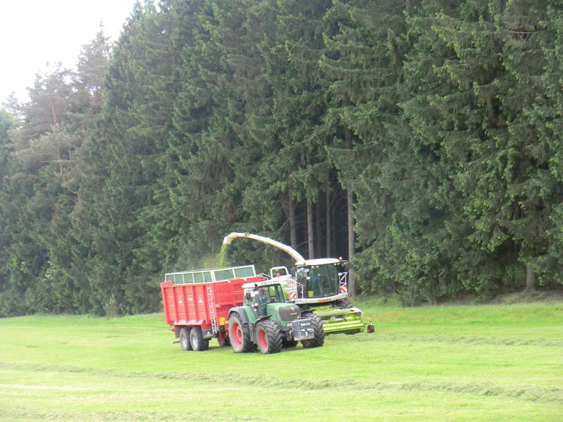 bilder/29_5_2012/CIMG8610.jpg
