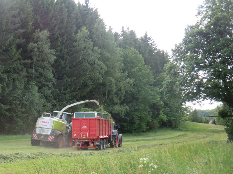 CIMG8612.jpg
