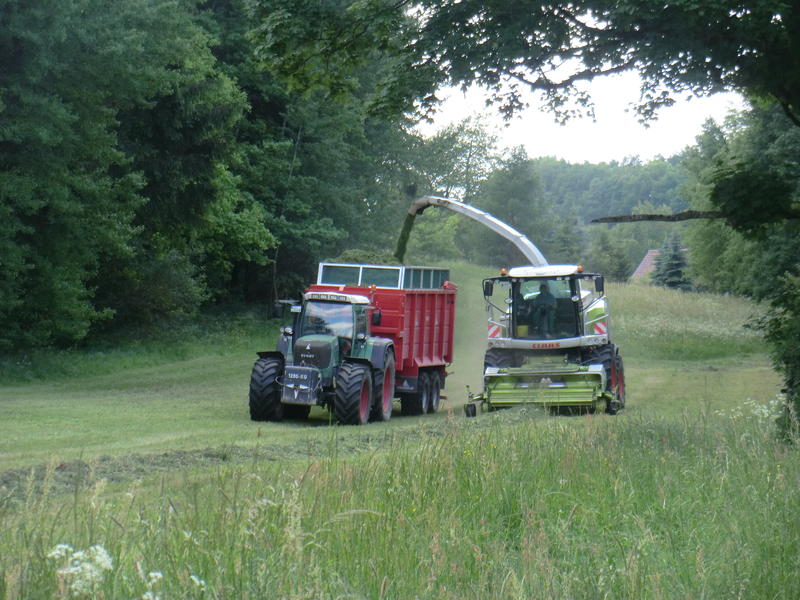 CIMG8614.jpg