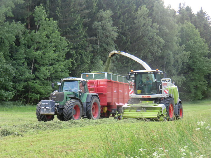 CIMG8616.jpg