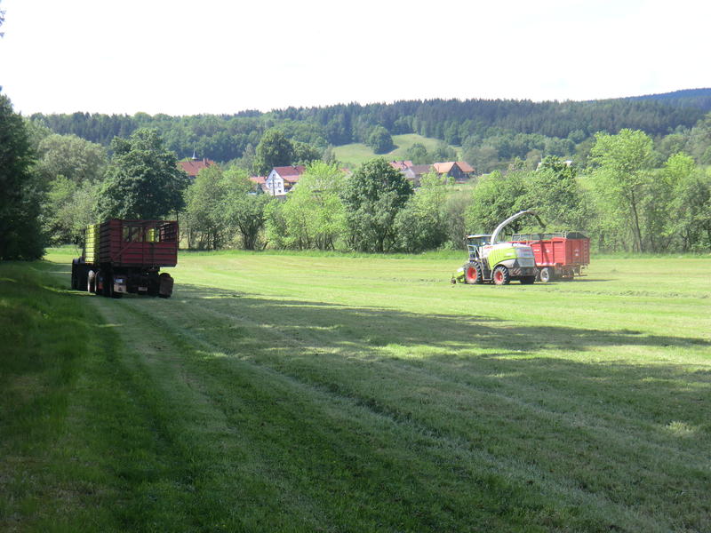 CIMG8631.jpg