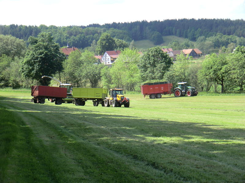 CIMG8632.jpg