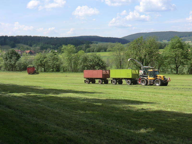 CIMG8634.jpg