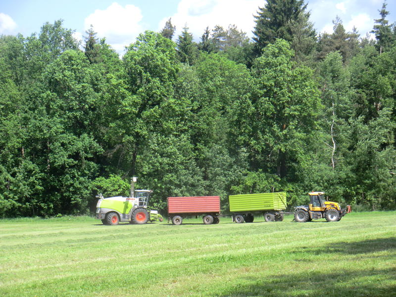 bilder/15_7_2011/CIMG3041.jpg