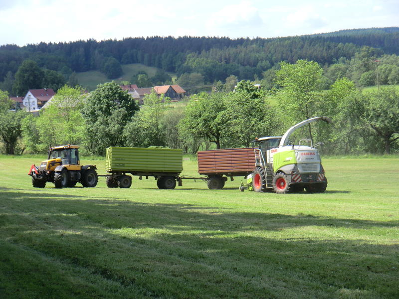 CIMG8638.jpg