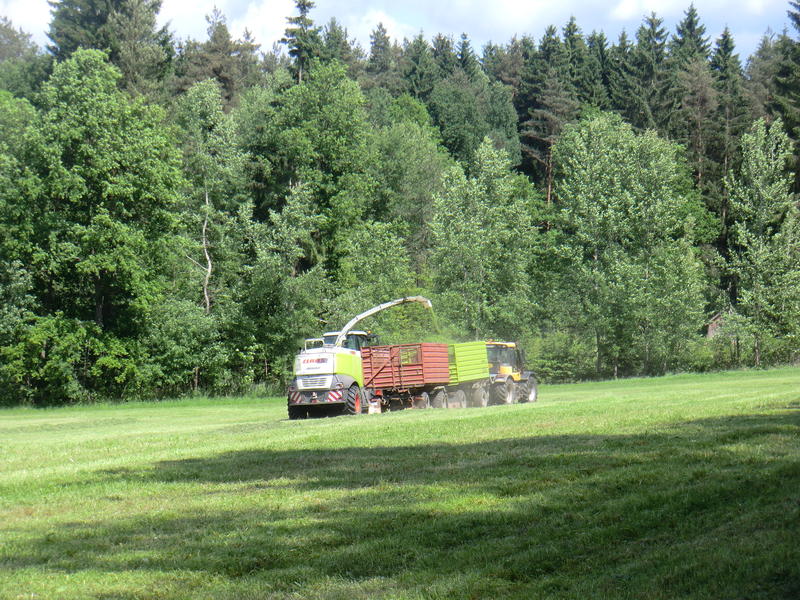 bilder/15_6_2015/DSC01630.jpg