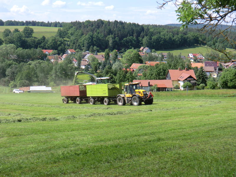 CIMG8652.jpg