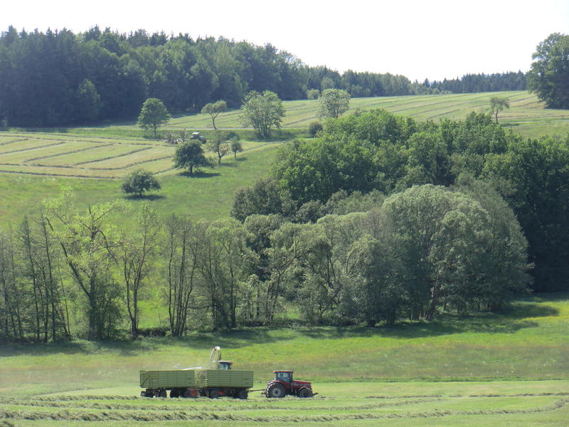 bilder/18_5_2017_2/DSC08209.jpg