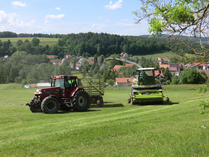 bilder/31_5_2003/jaguar_900_+_fendt_824_2.jpg
