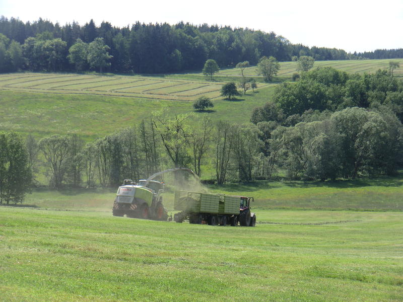 CIMG8667.jpg