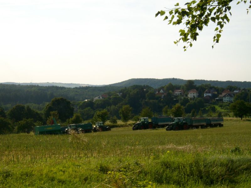 IMGP7150.jpg