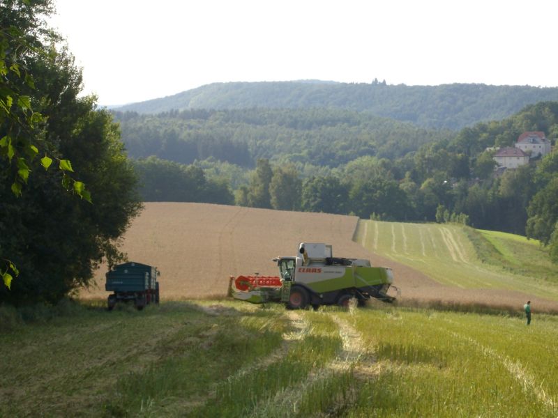 bilder/18_6_2005/fendt_716_2.jpg