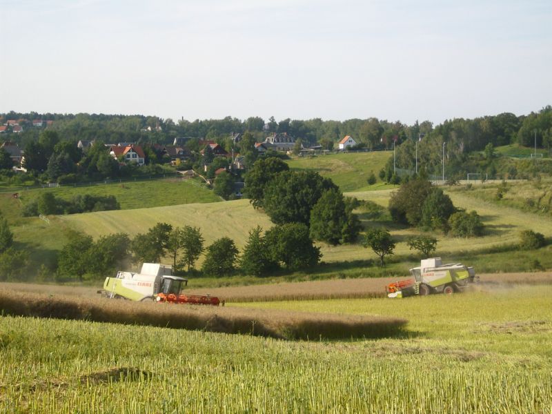 IMGP7158.jpg