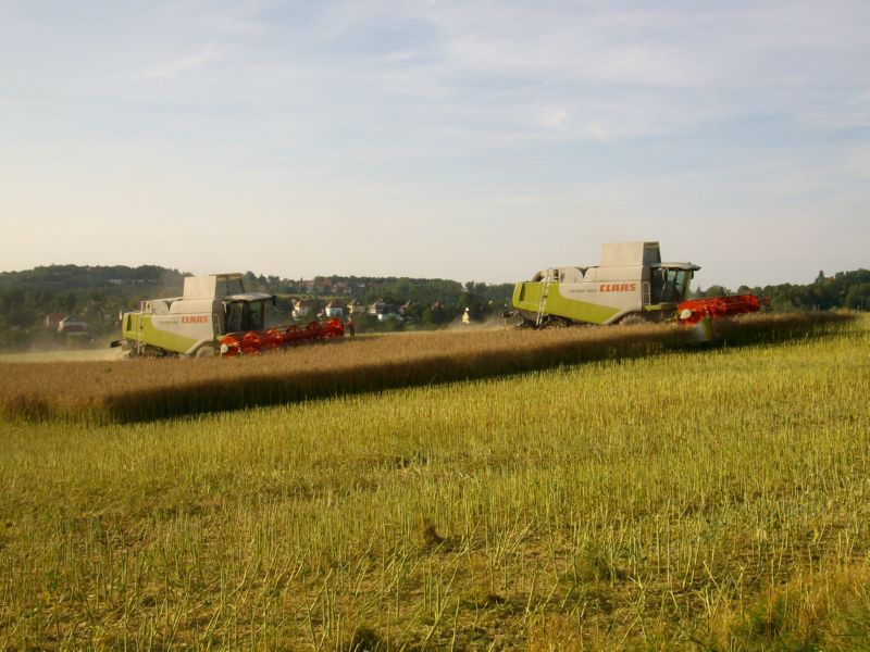 bilder/16_7_2014/CIMG7263.jpg