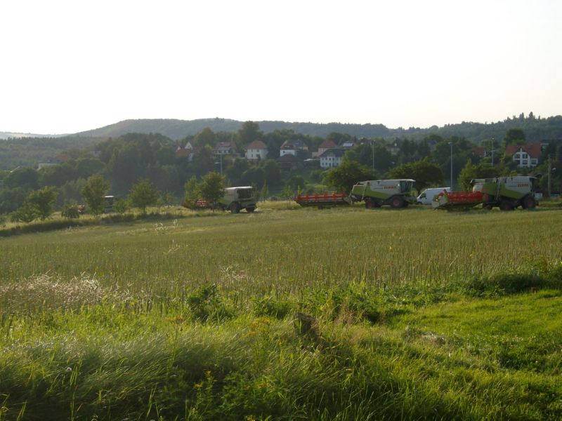 IMGP7211.jpg
