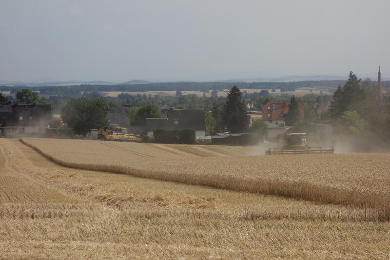 DSC03013.jpg