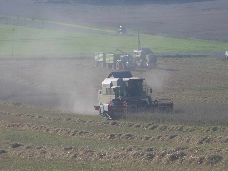 2x_mega_fendt_2.jpg