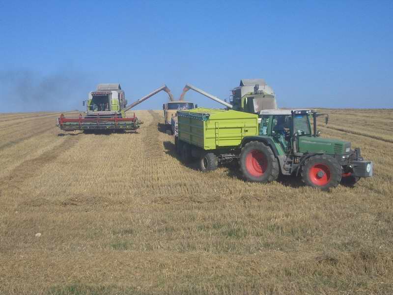 2x_mega_fendt_w50.jpg