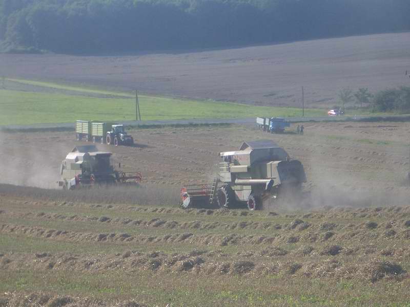 2x_mega_fendt_w50_2.jpg