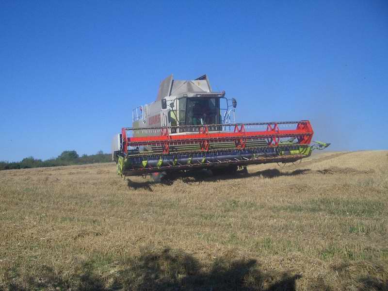 bilder/29_8_2005/lexion_11.jpg