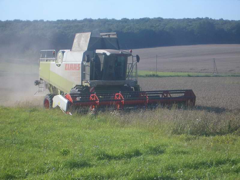 bilder/29_8_2005/lexion_12.jpg