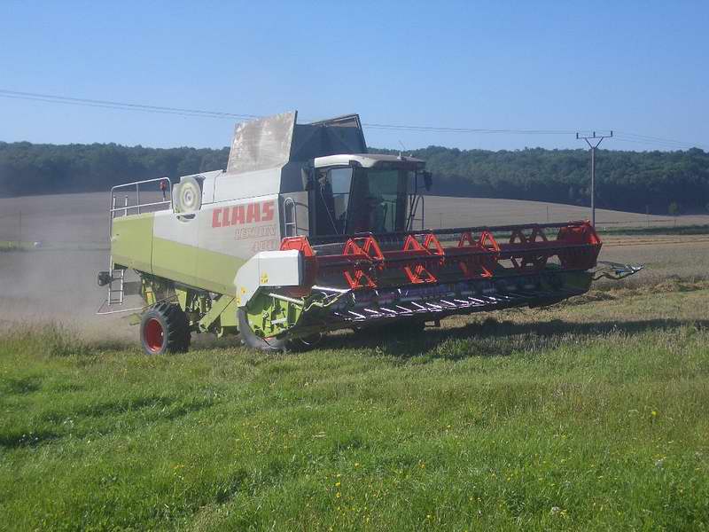 lexion_13.jpg