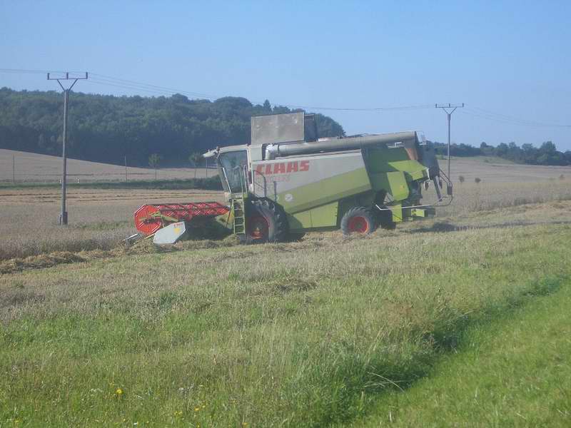 lexion_14.jpg
