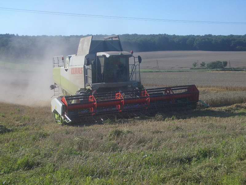 bilder/29_8_2005/lexion_16.jpg