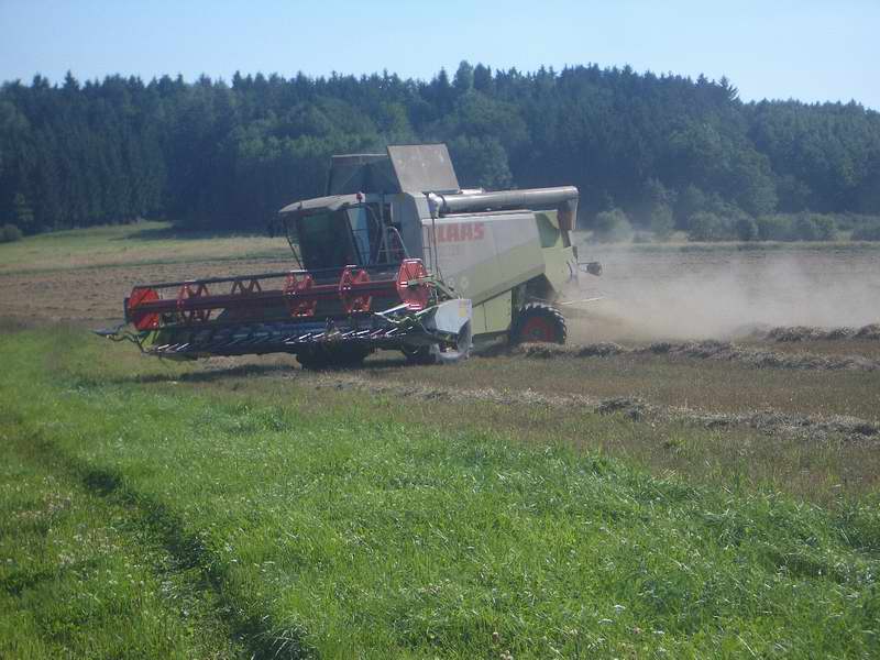 bilder/19_10_2014_2/CIMG8426.jpg