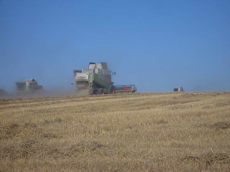 lexion_2x_mega.jpg