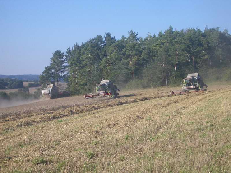 lexion_2x_mega_3.jpg
