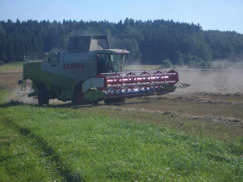 lexion_3.jpg