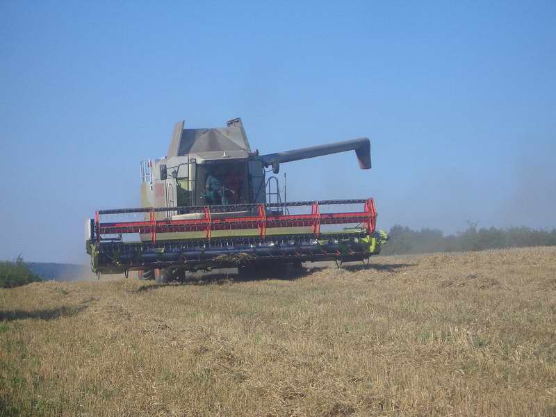 bilder/29_8_2005/lexion_8.jpg
